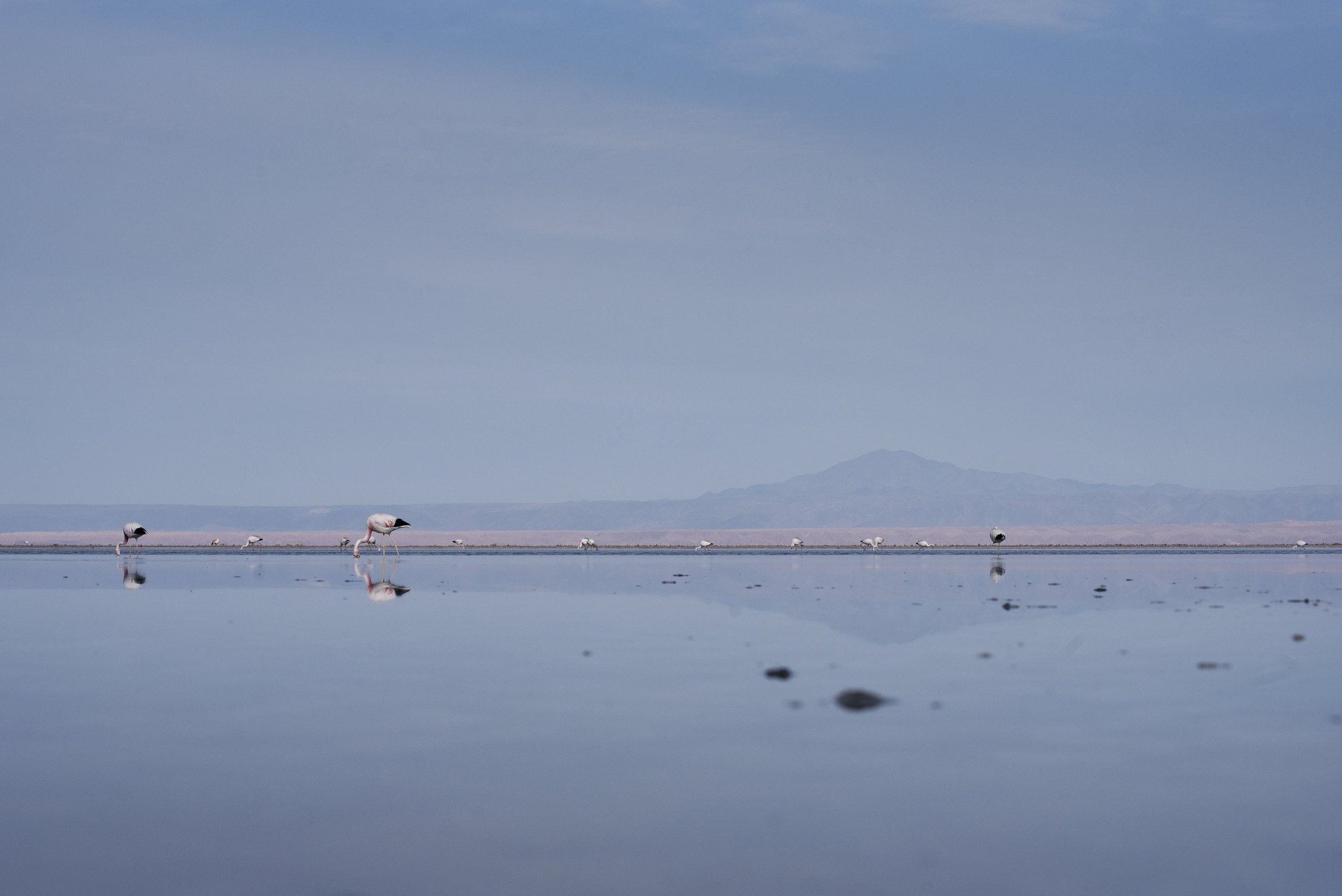 Salar de Atacama